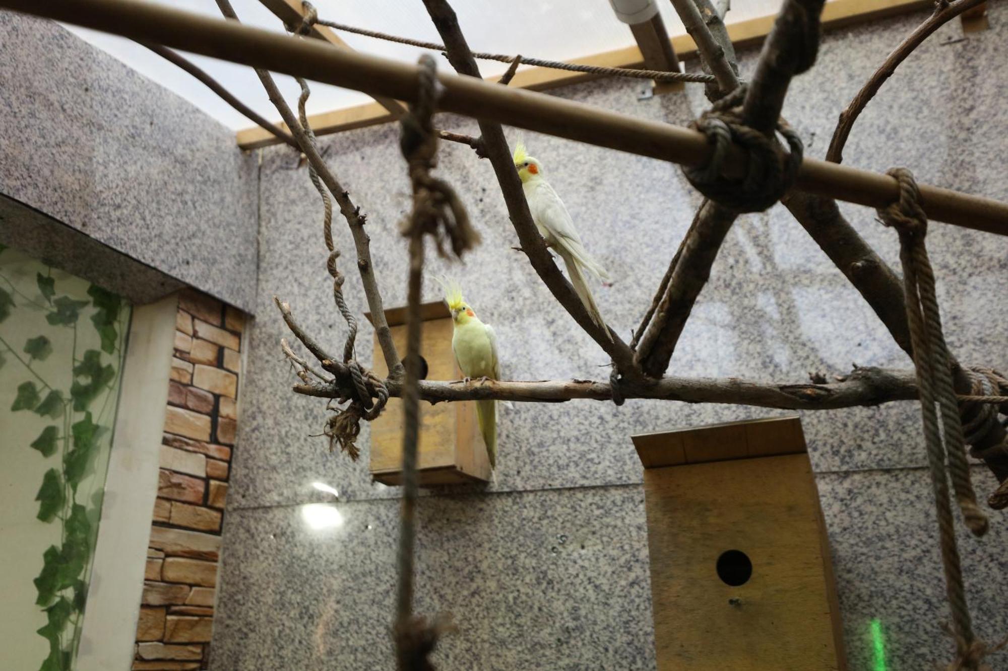 U Ashota Hotel Jereván Kültér fotó
