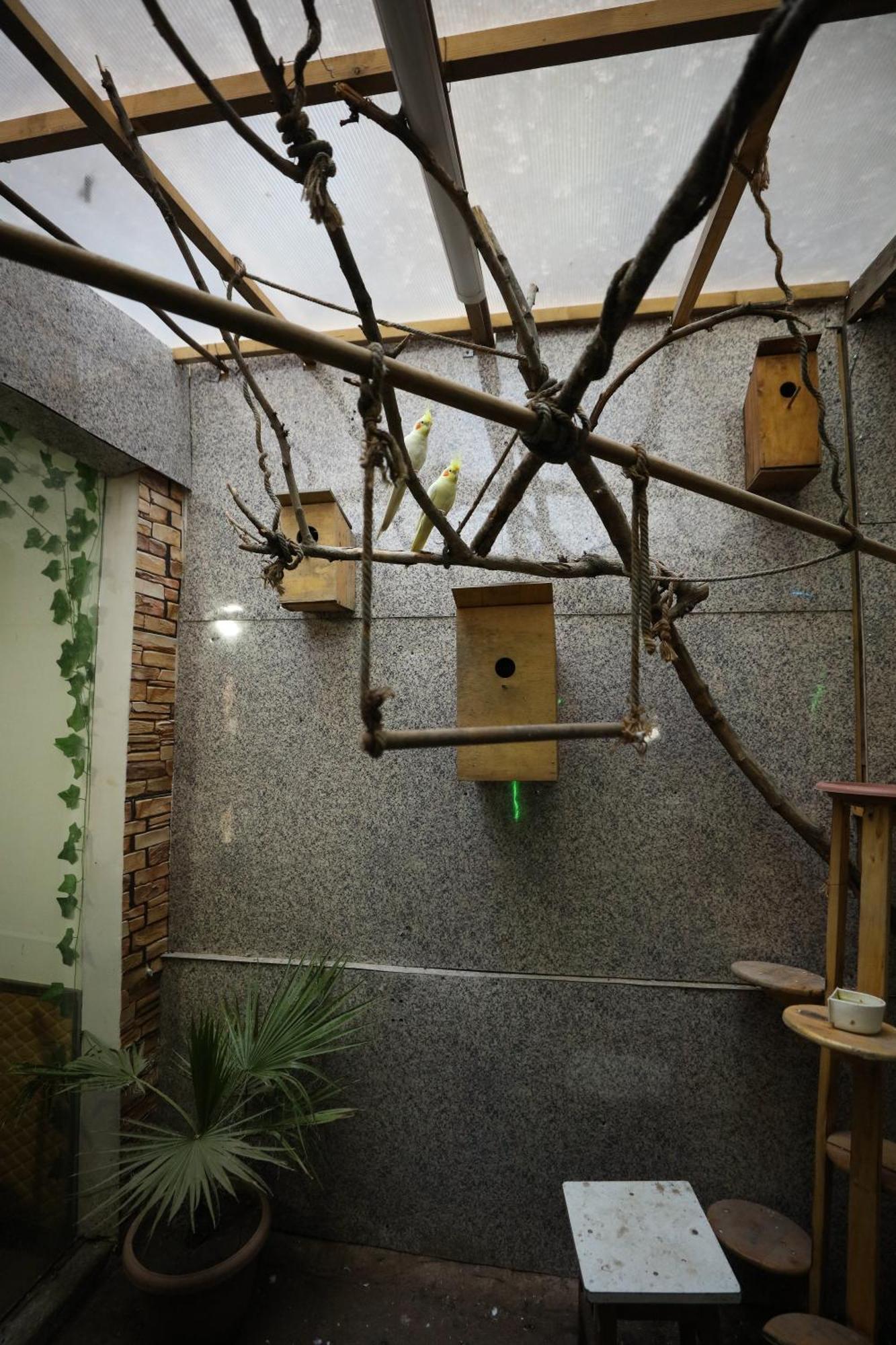 U Ashota Hotel Jereván Kültér fotó
